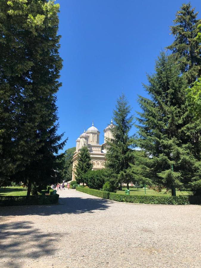 Pensiune Montana Curtea de Argeş エクステリア 写真