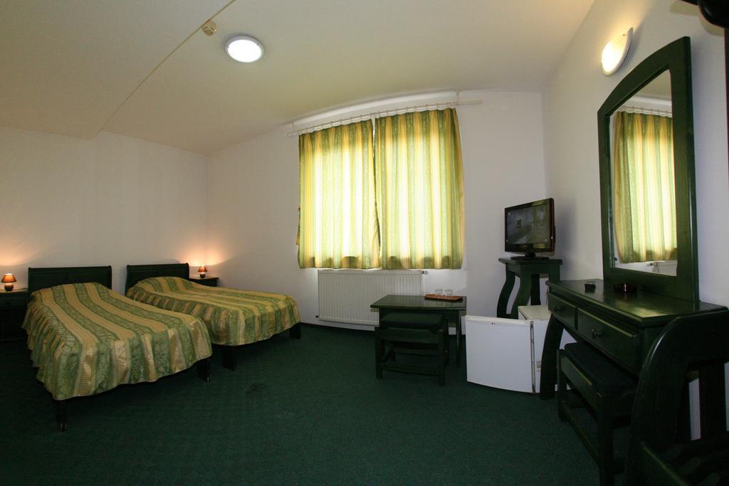 Pensiune Montana Curtea de Argeş 部屋 写真